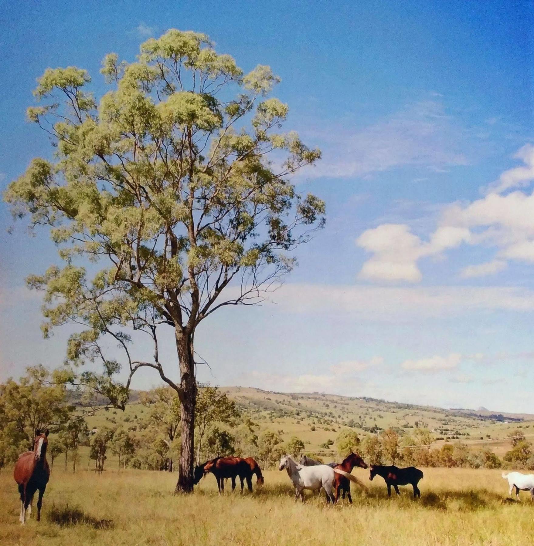 Boonah Valley Motel 외부 사진