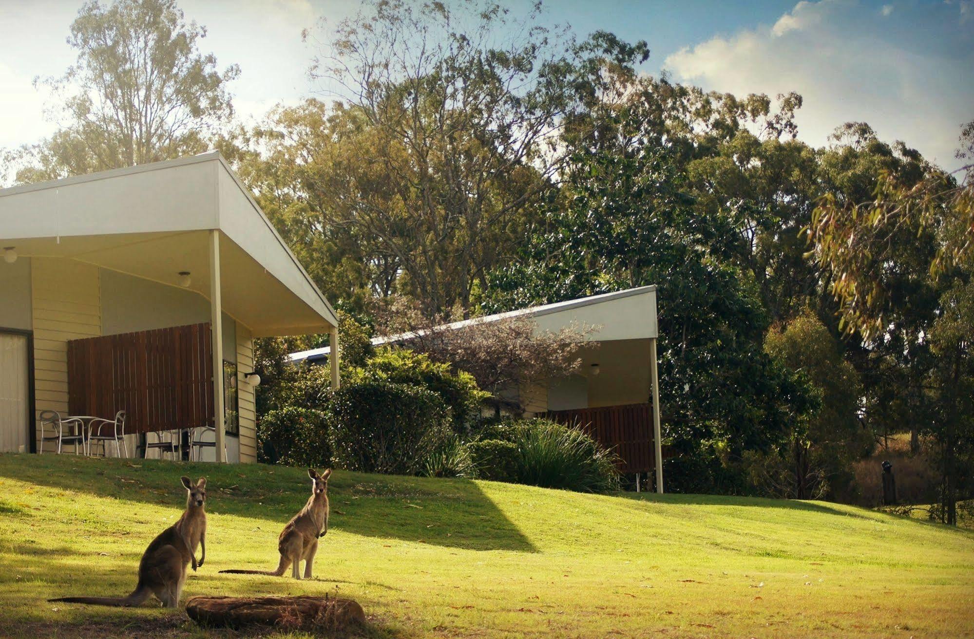 Boonah Valley Motel 외부 사진